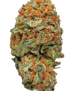 Ak-47 Strain