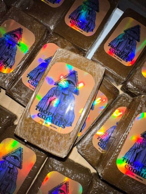 what is rosin,pot rosin, hash rosin uk , live rosin thc, cold cured rosin,what is live rosin,cold cure rosin,live rosin meaning,rosin cannabis,rosin dabs ,thc rosin,rosin cartridge near me ,papaya rosin strain,orange tangie diesel rosin ,live rosin weed,rosin vs live resin ,cold cure live rosin,rosin carts near me,hash rosin near me,rosin concentrate ,live hash rosin carts near me,rosin carts,rosin cartridge,rosin thc,rosin,what is rosin weed,live rosin carts near me,cannabis rosin ,what is live rosin thc,hashish live rosin, rosin wax,what is cold cure rosin,rosin dab pen,fresh press rosin,whats rosin,rosin cannabis,cold cured live rosin,rosin extraction,pot rosin