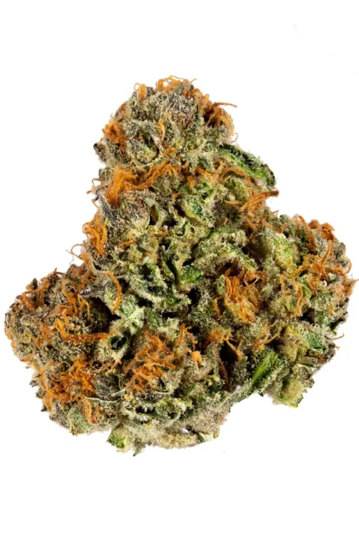 what is rosin,pot rosin, hash rosin uk , live rosin thc, cold cured rosin,what is live rosin,cold cure rosin,live rosin meaning,rosin cannabis,rosin dabs ,thc rosin,rosin cartridge near me ,papaya rosin strain,orange tangie diesel rosin ,live rosin weed,rosin vs live resin ,cold cure live rosin,rosin carts near me,hash rosin near me,rosin concentrate ,live hash rosin carts near me,rosin carts,rosin cartridge,rosin thc,rosin,what is rosin weed,live rosin carts near me,cannabis rosin ,what is live rosin thc,hashish live rosin, rosin wax,what is cold cure rosin,rosin dab pen,fresh press rosin,whats rosin,rosin cannabis,cold cured live rosin,rosin extraction,pot rosin