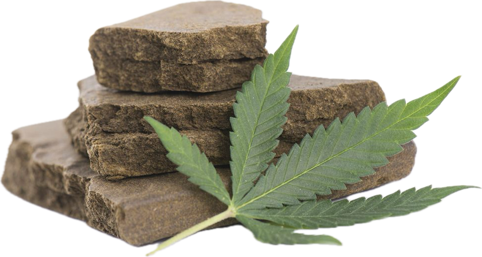 what is rosin,pot rosin, hash rosin uk , live rosin thc, cold cured rosin,what is live rosin,cold cure rosin,live rosin meaning,rosin cannabis,rosin dabs ,thc rosin,rosin cartridge near me ,papaya rosin strain,orange tangie diesel rosin ,live rosin weed,rosin vs live resin ,cold cure live rosin,rosin carts near me,hash rosin near me,rosin concentrate ,live hash rosin carts near me,rosin carts,rosin cartridge,rosin thc,rosin,what is rosin weed,live rosin carts near me,cannabis rosin ,what is live rosin thc,hashish live rosin, rosin wax,what is cold cure rosin,rosin dab pen,fresh press rosin,whats rosin,rosin cannabis,cold cured live rosin,rosin extraction,pot rosin