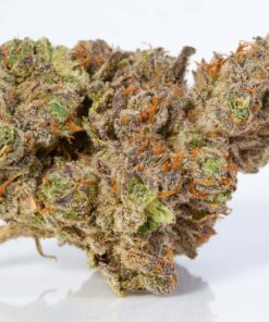 what is rosin,pot rosin, hash rosin uk , live rosin thc, cold cured rosin,what is live rosin,cold cure rosin,live rosin meaning,rosin cannabis,rosin dabs ,thc rosin,rosin cartridge near me ,papaya rosin strain,orange tangie diesel rosin ,live rosin weed,rosin vs live resin ,cold cure live rosin,rosin carts near me,hash rosin near me,rosin concentrate ,live hash rosin carts near me,rosin carts,rosin cartridge,rosin thc,rosin,what is rosin weed,live rosin carts near me,cannabis rosin ,what is live rosin thc,hashish live rosin, rosin wax,what is cold cure rosin,rosin dab pen,fresh press rosin,whats rosin,rosin cannabis,cold cured live rosin,rosin extraction,pot rosin