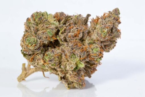 what is rosin,pot rosin, hash rosin uk , live rosin thc, cold cured rosin,what is live rosin,cold cure rosin,live rosin meaning,rosin cannabis,rosin dabs ,thc rosin,rosin cartridge near me ,papaya rosin strain,orange tangie diesel rosin ,live rosin weed,rosin vs live resin ,cold cure live rosin,rosin carts near me,hash rosin near me,rosin concentrate ,live hash rosin carts near me,rosin carts,rosin cartridge,rosin thc,rosin,what is rosin weed,live rosin carts near me,cannabis rosin ,what is live rosin thc,hashish live rosin, rosin wax,what is cold cure rosin,rosin dab pen,fresh press rosin,whats rosin,rosin cannabis,cold cured live rosin,rosin extraction,pot rosin